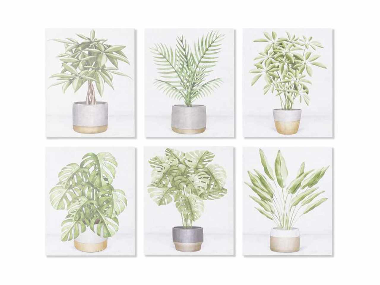Quadro pianta 40x1,8x50cm cu-193726