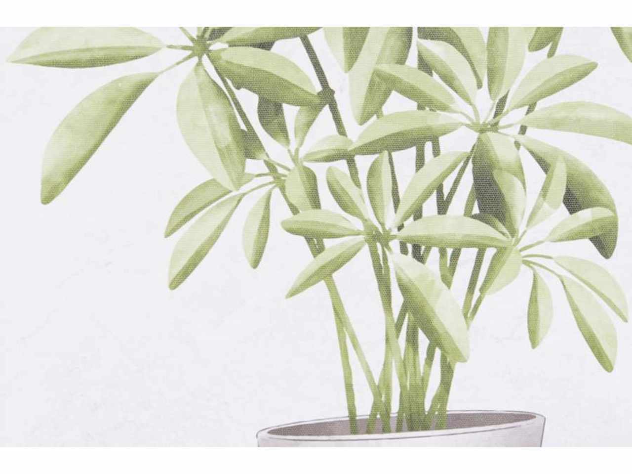 Quadro pianta 40x1,8x50cm cu-193726
