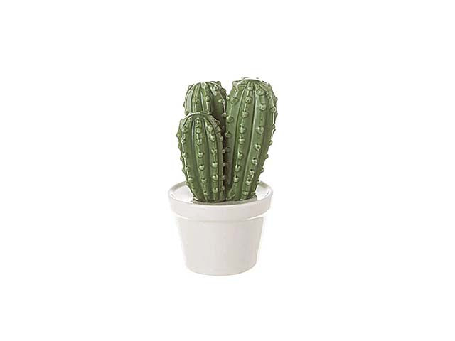 Cactus porcellana 7x7x13cm 122237