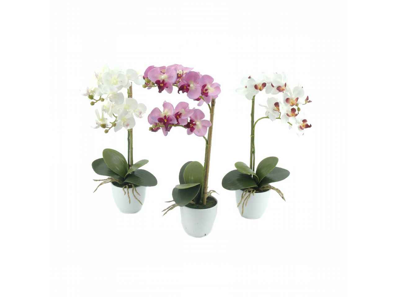 pianta orchidea 6186-48