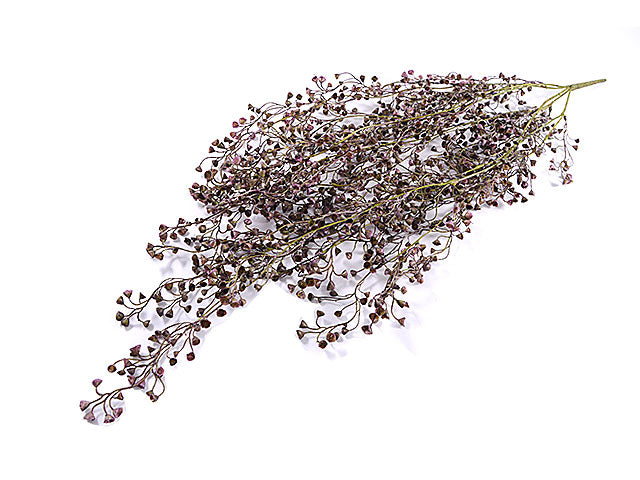 colgante rhipsalis 2456-17
