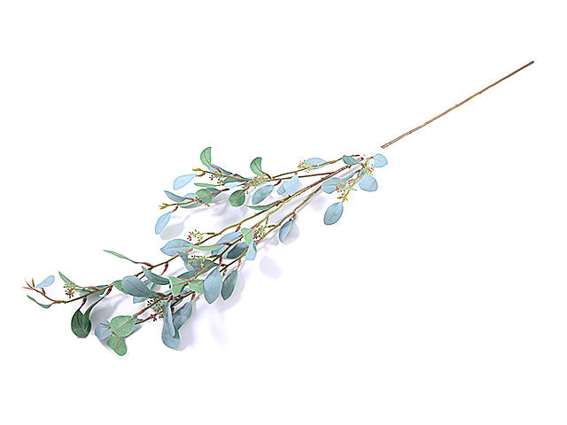 eucalypto parvifolia 4451-69
