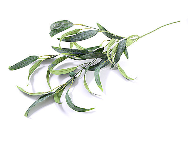eucalypto globulus 100cm s4502-09