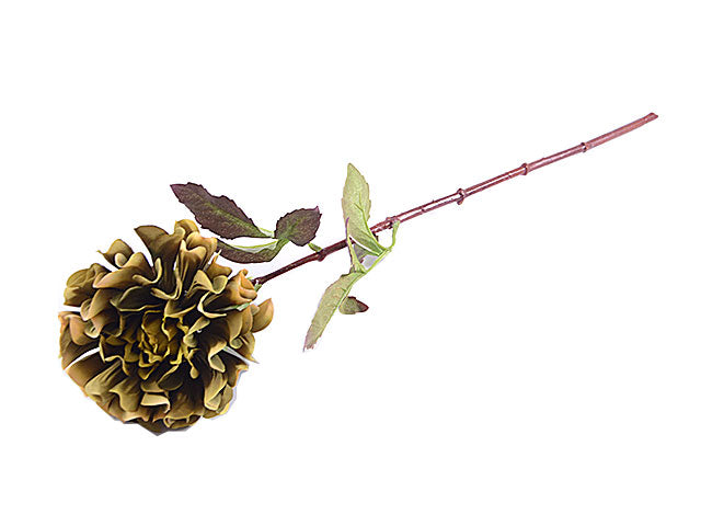 dahlia 6214-09