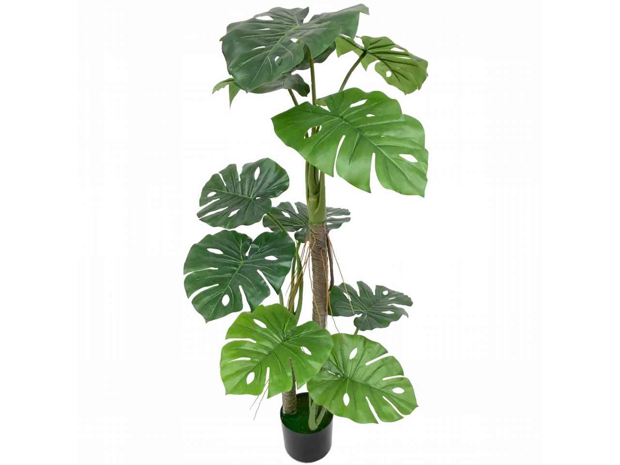 Pianta split philo 1,2mt 7120-09