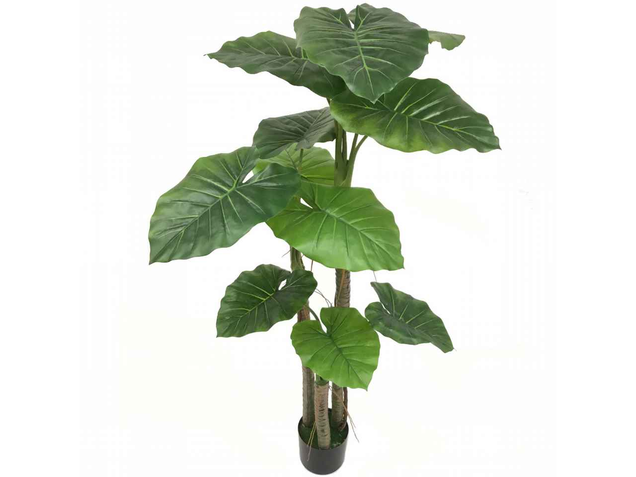 pianta colocasia 1,5mt 7124-09