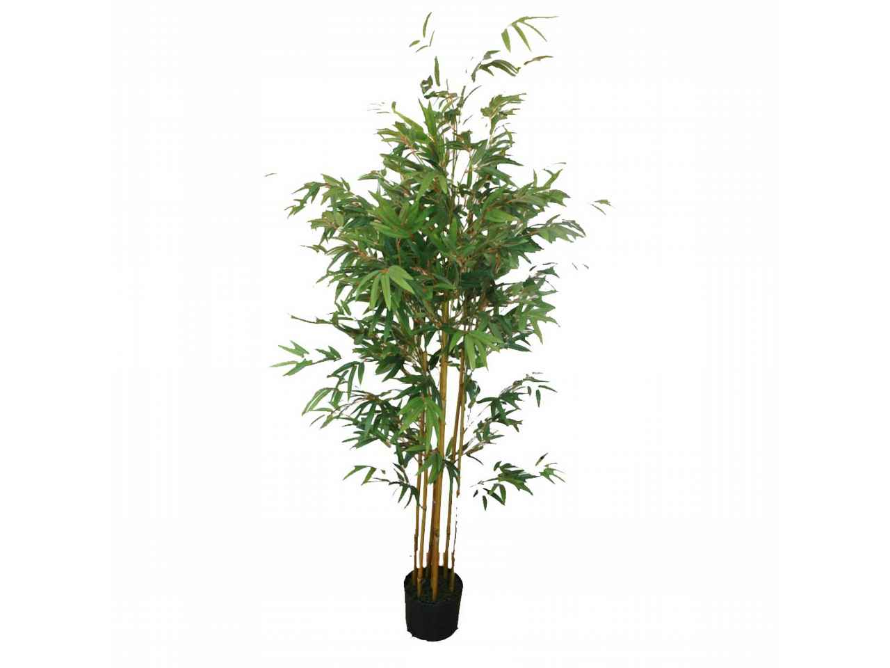 pianta bamboo mini 1,8mt 7011-09