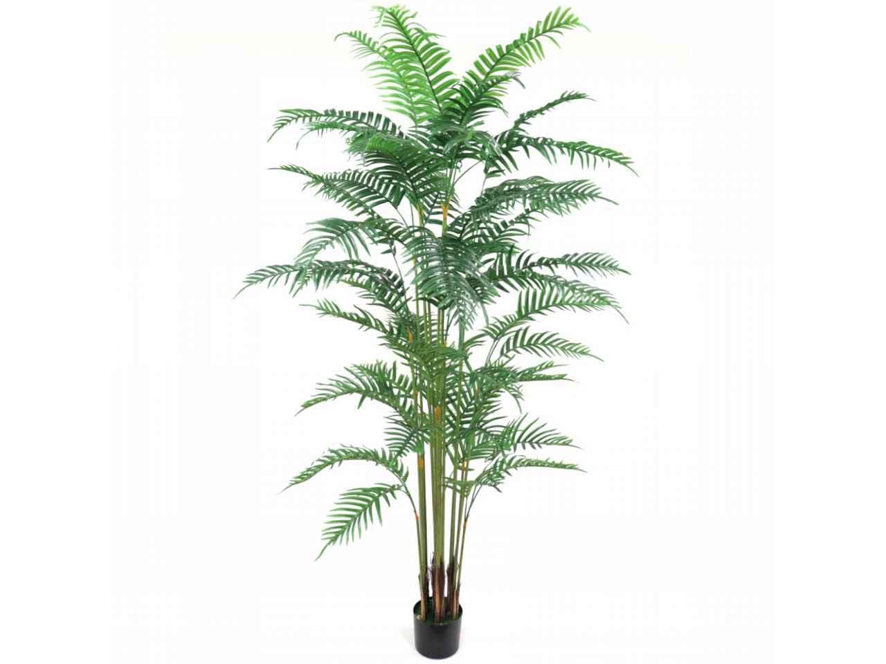 pianta palma 2,05mt 7051-09