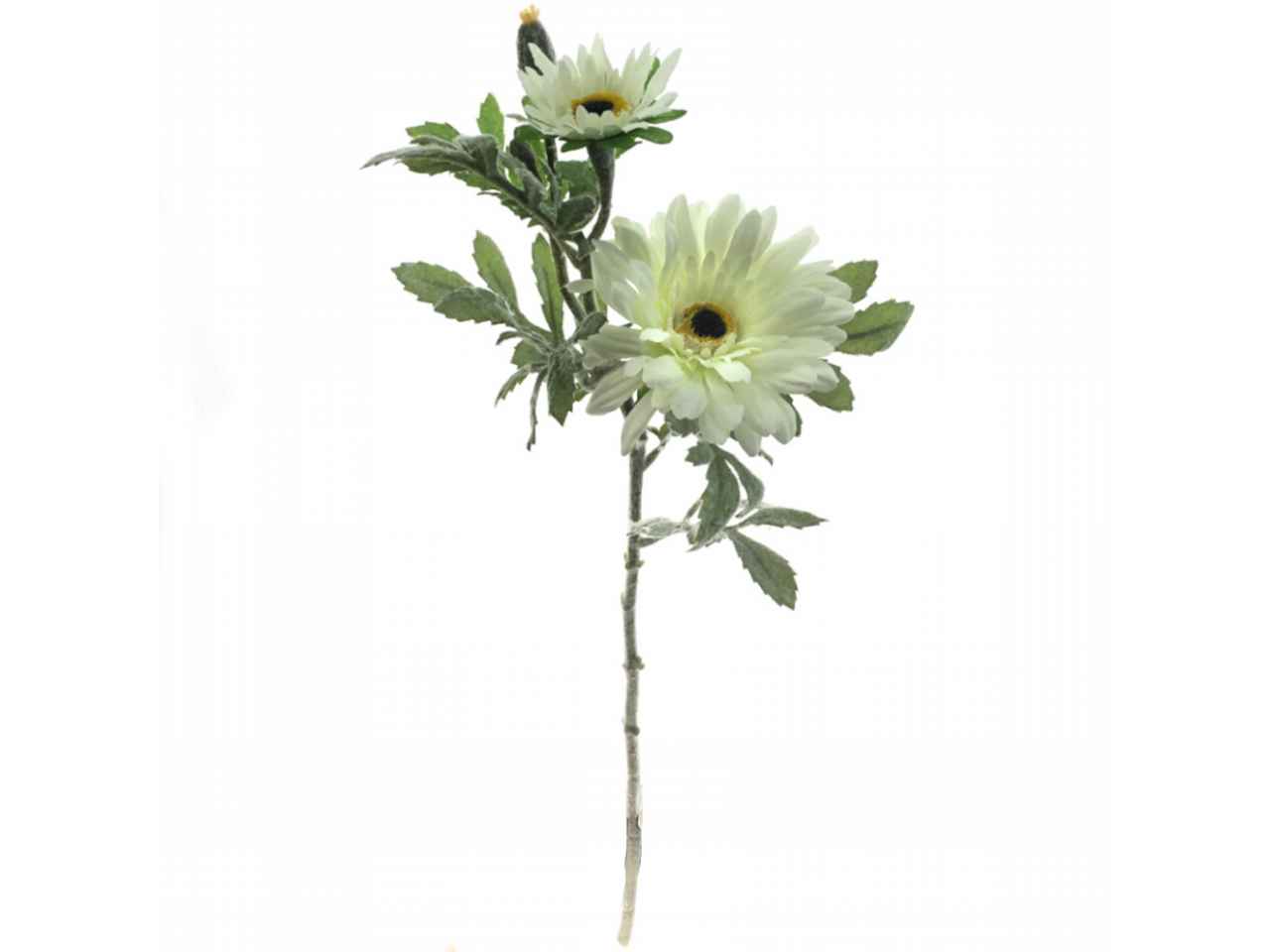 gerbera bianca 2294-01