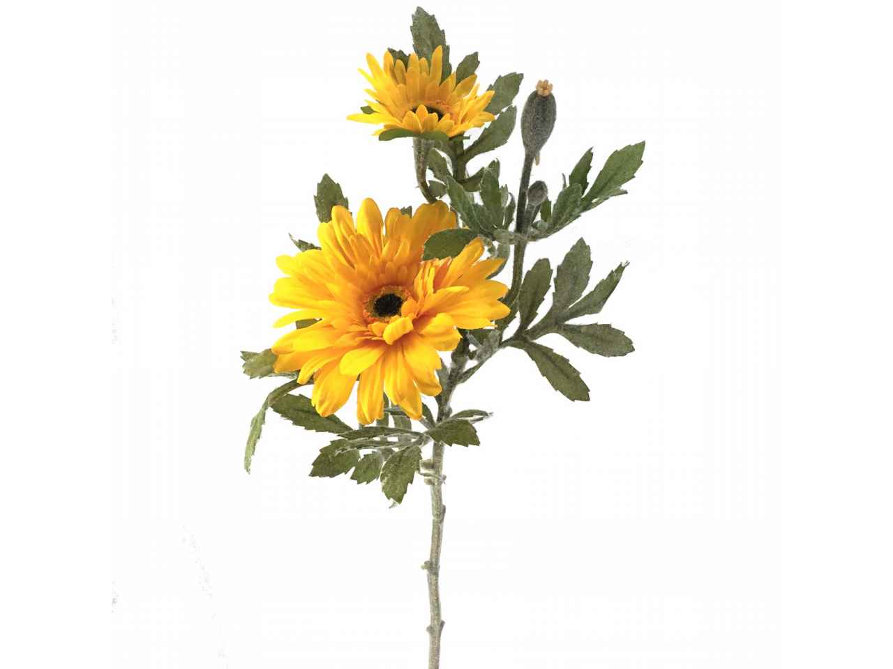 gerbera gialla 2294-02