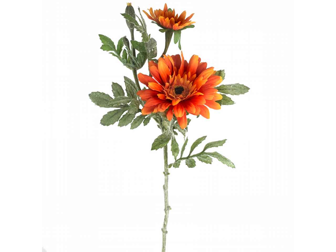 gerbera arancio 2294-15