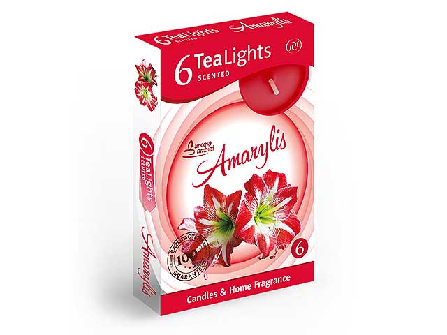 T-light 6pz amarylis