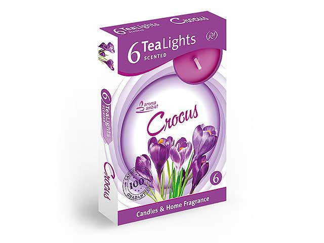 T-light 6pz crocus