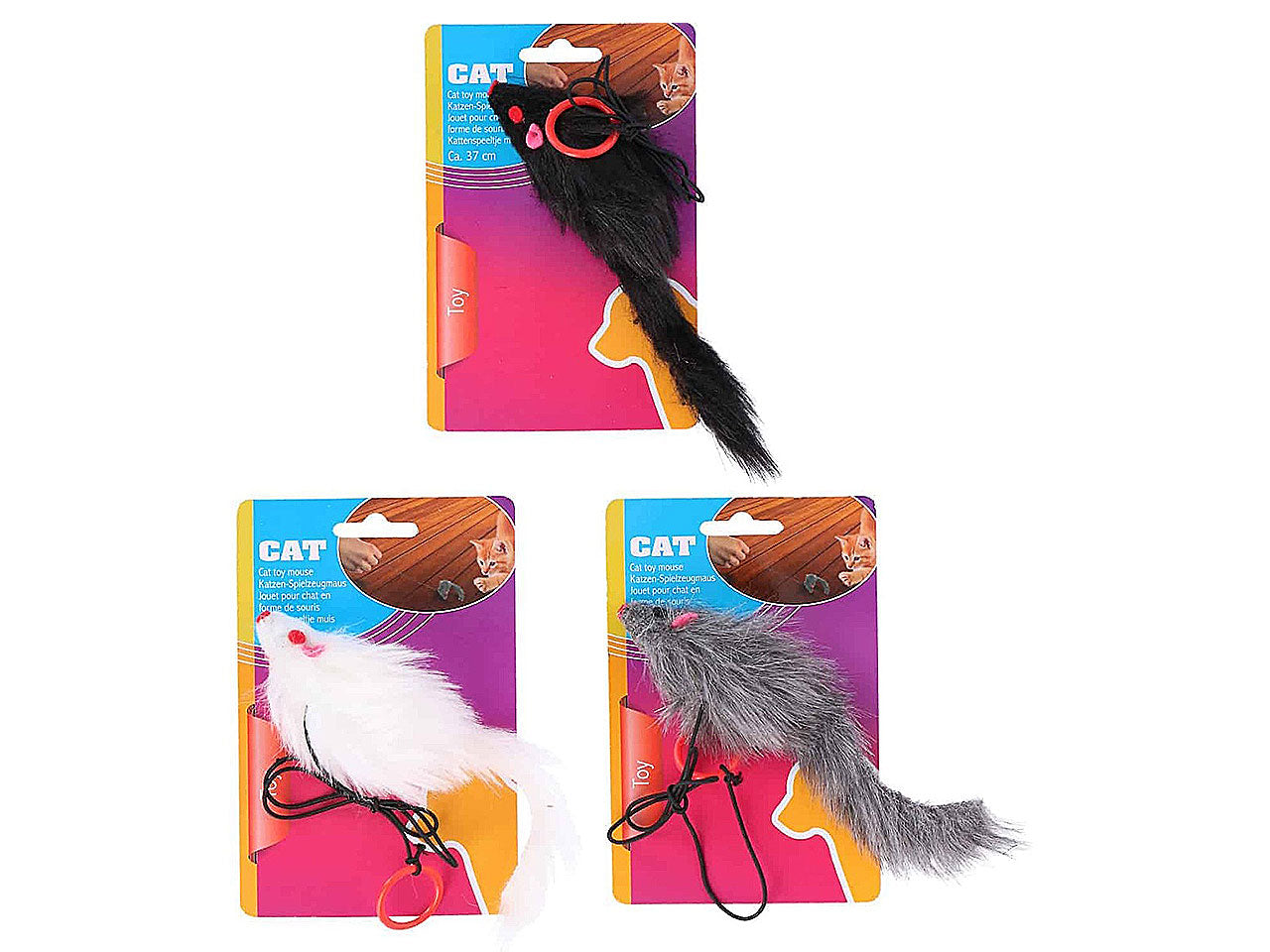 topo/gatto gioco