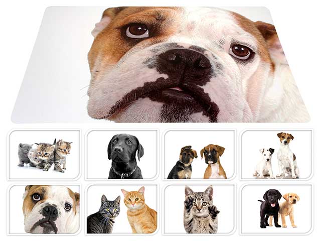 tovaglietta37x56cm cani/gatti cy2700880
