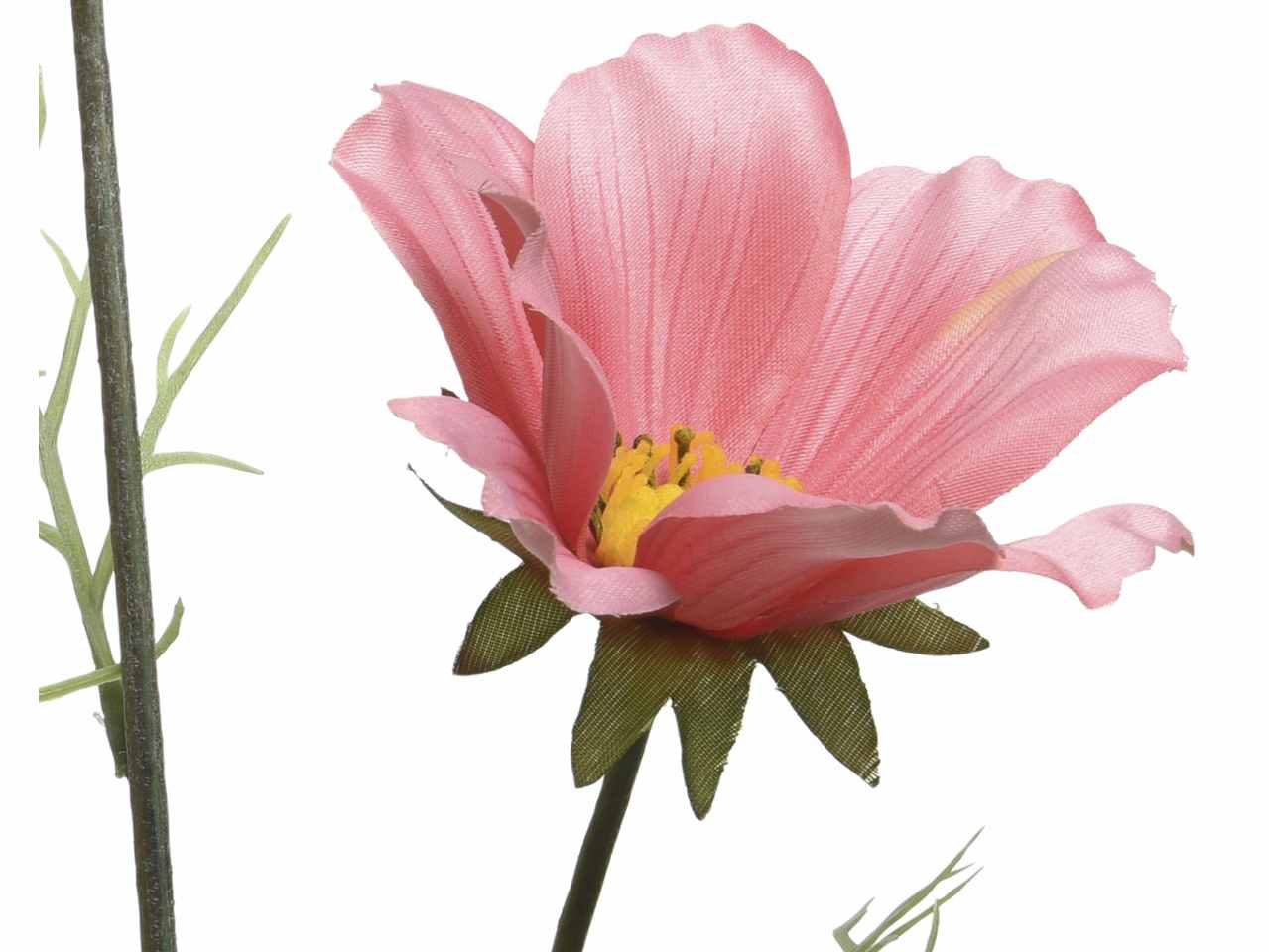 Coreopside rosa h.64cm 800554