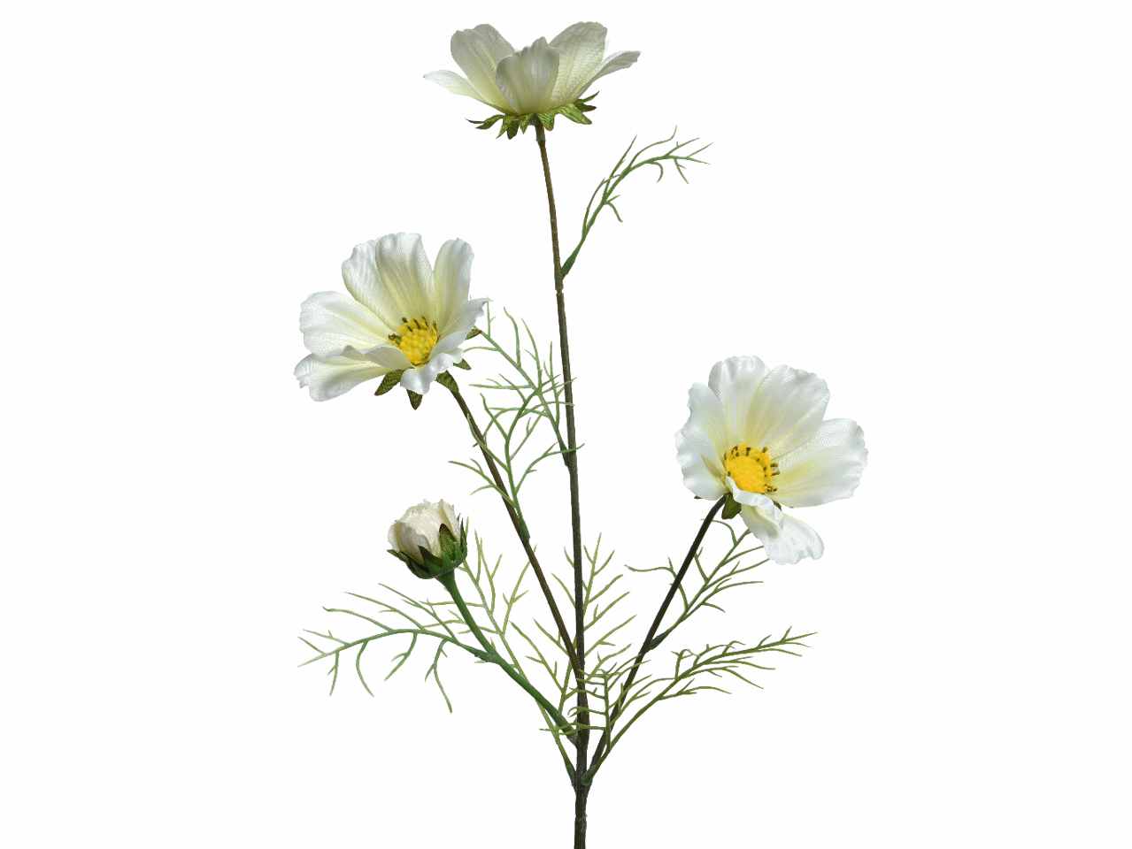Coreopside bianco h.64cm 800555