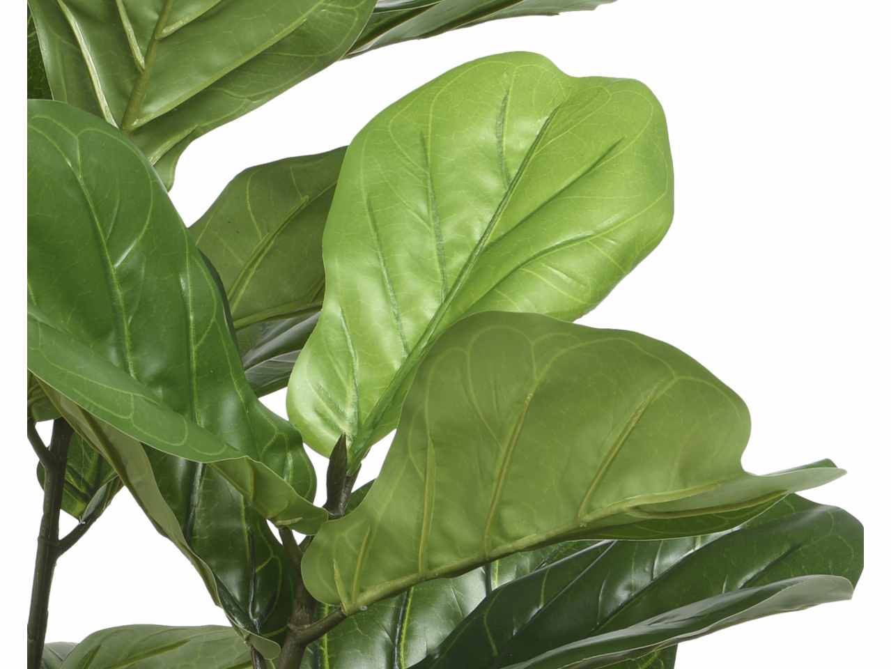 Albero fico h.97cm 800806