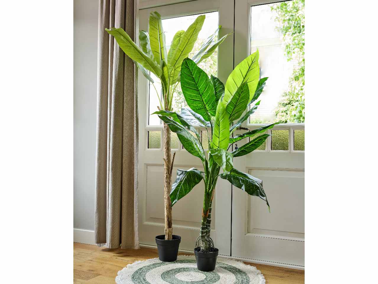Banano h.200cm con vaso 802099