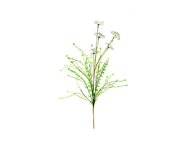mazzo fiori secchi bianchi 66cm 355905