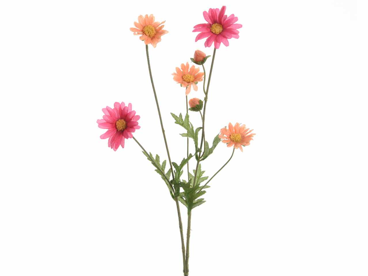 Mazzo margherita h.65cm fucsia 800691