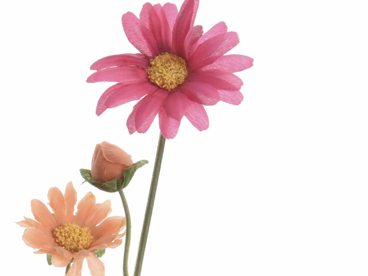 Mazzo margherita h.65cm fucsia 800691