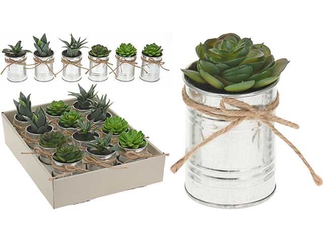 pianta 7x12cm con vaso zinco 317002870