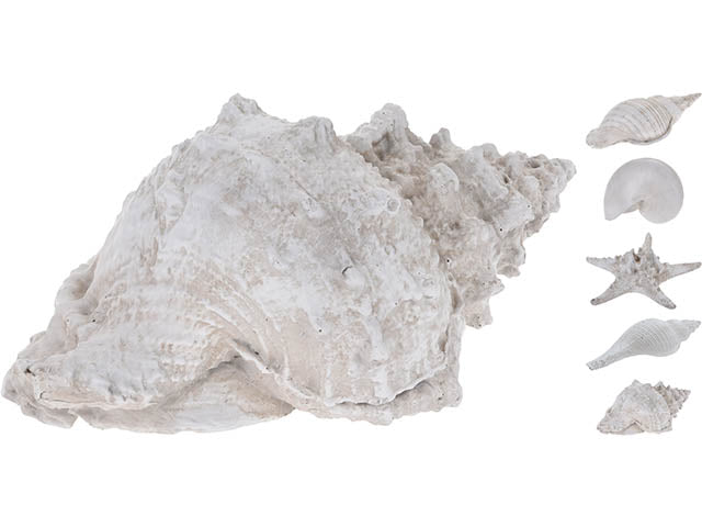 conchiglia resina 20x19cm 252120300