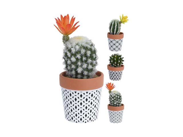 cactus con vaso 319000100