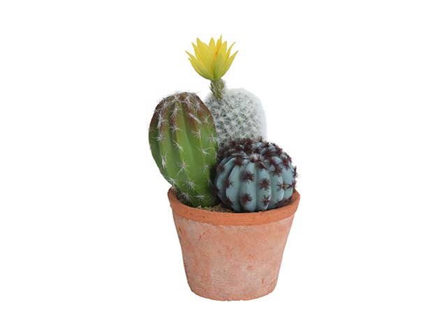 cactus con vaso 16x20 319000140