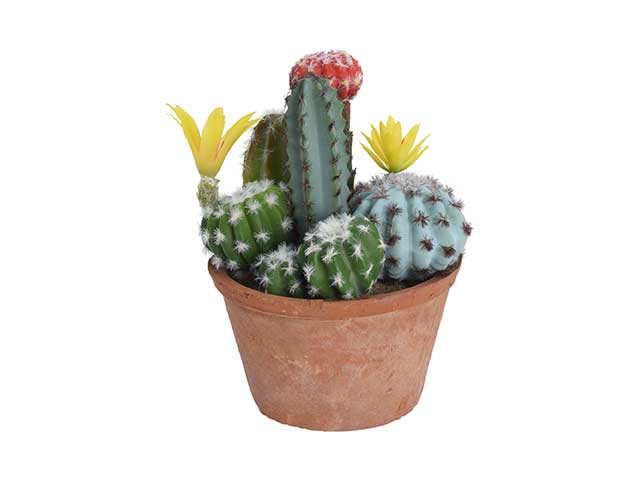 cactus con vaso 16x24 319000150
