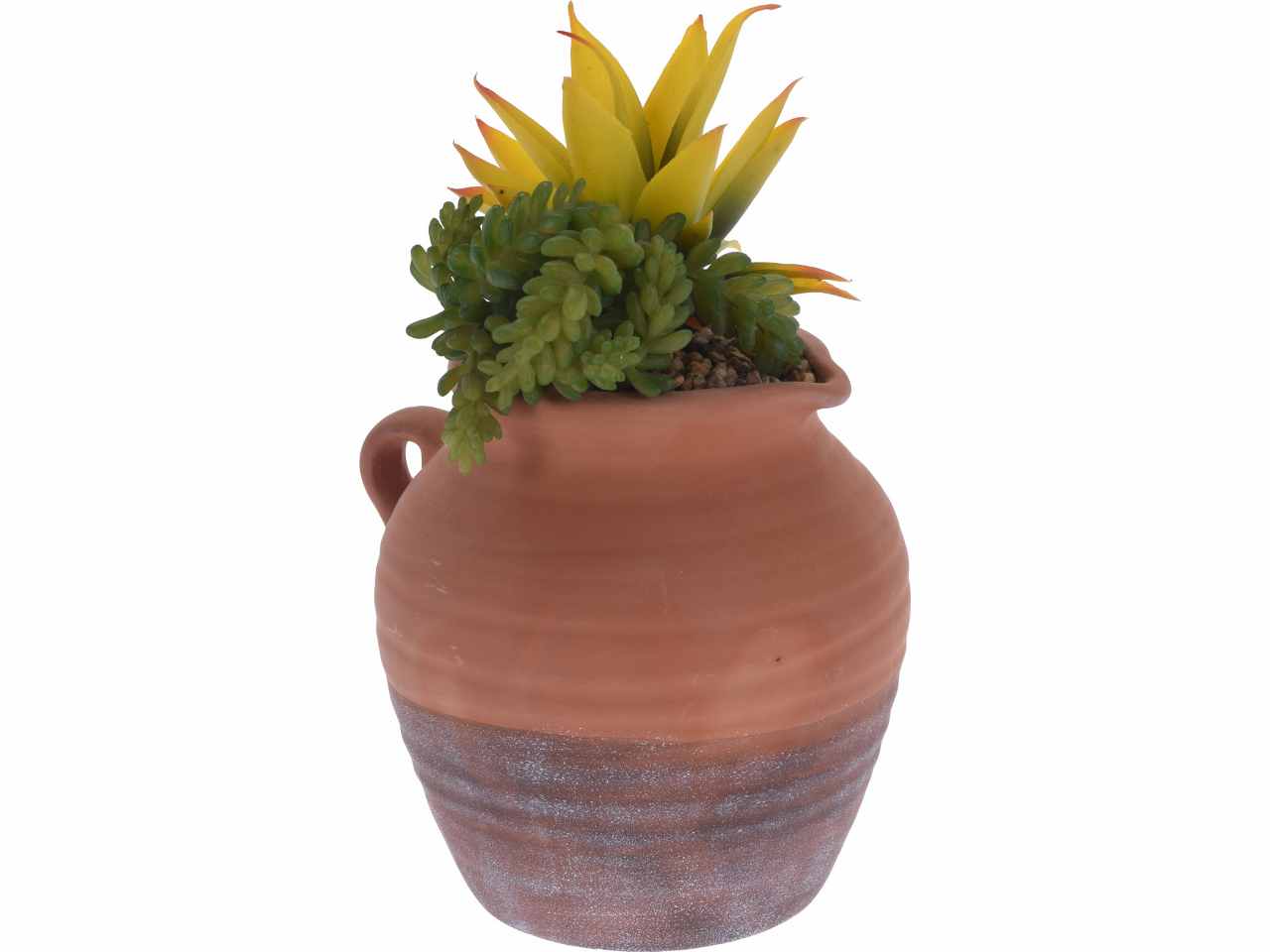 Vaso terrac.c/piante 17x25 hz1913840