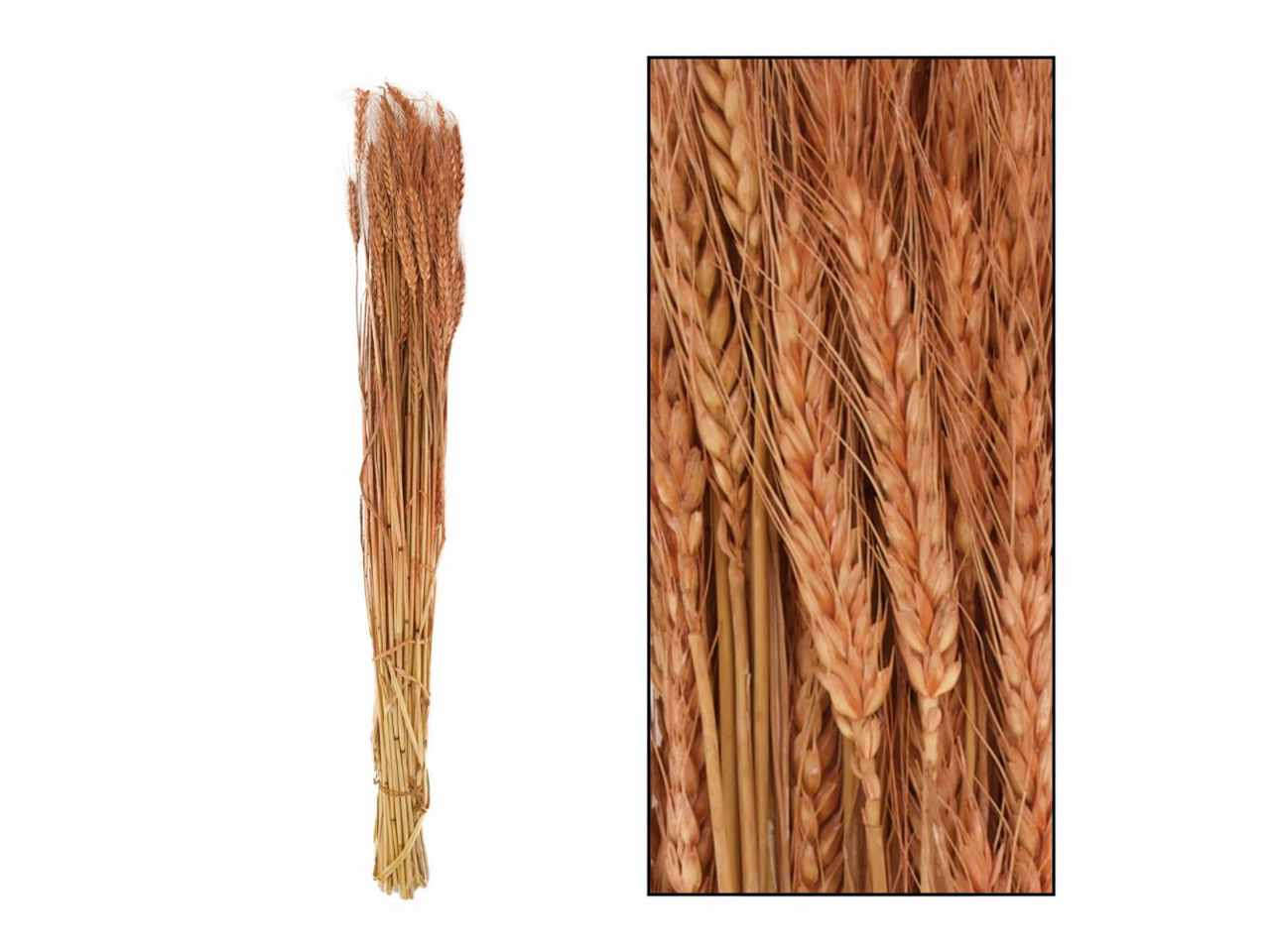 Spighe rosa 100gr 35434-102
