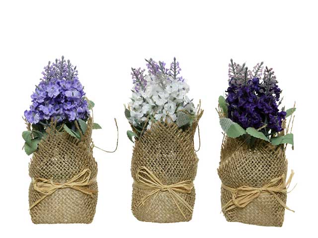 piantina fiori 17cm 801150