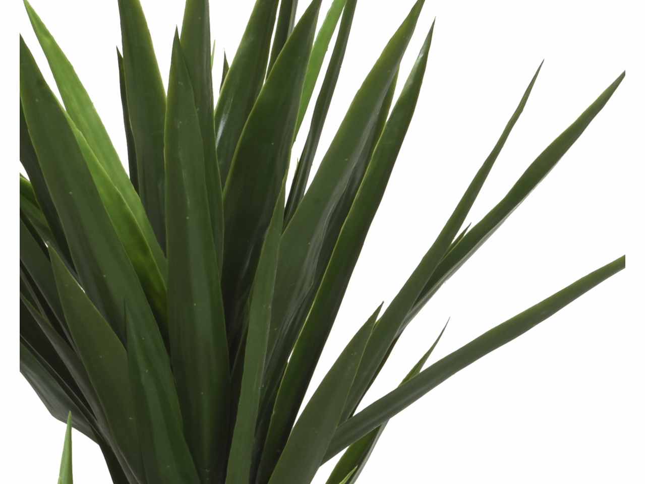 Yucca h.122cm 801224