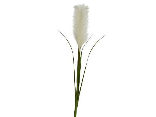 fascio fiore secco bianco 801247