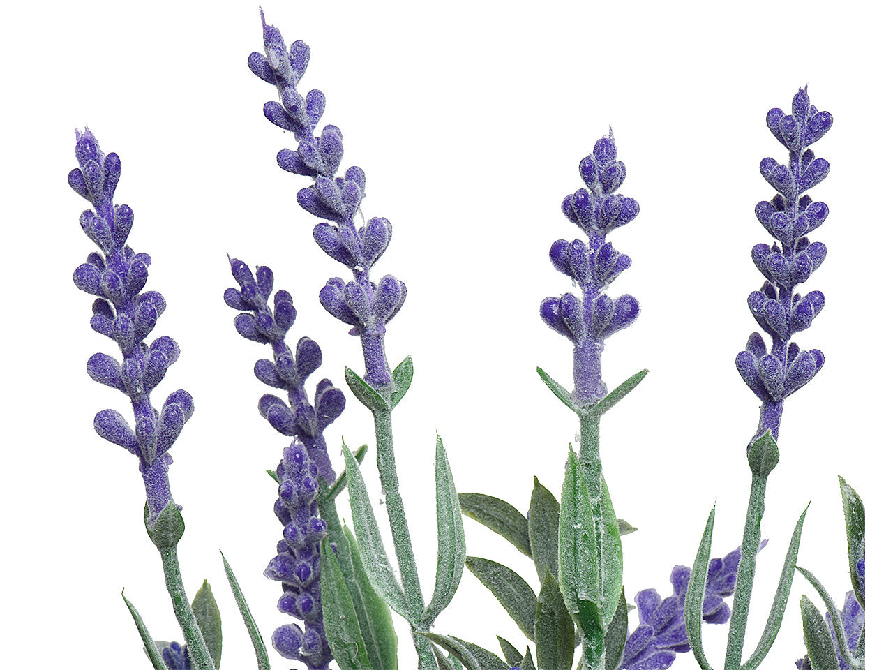 Lavanda h32cm viola con vaso 801868