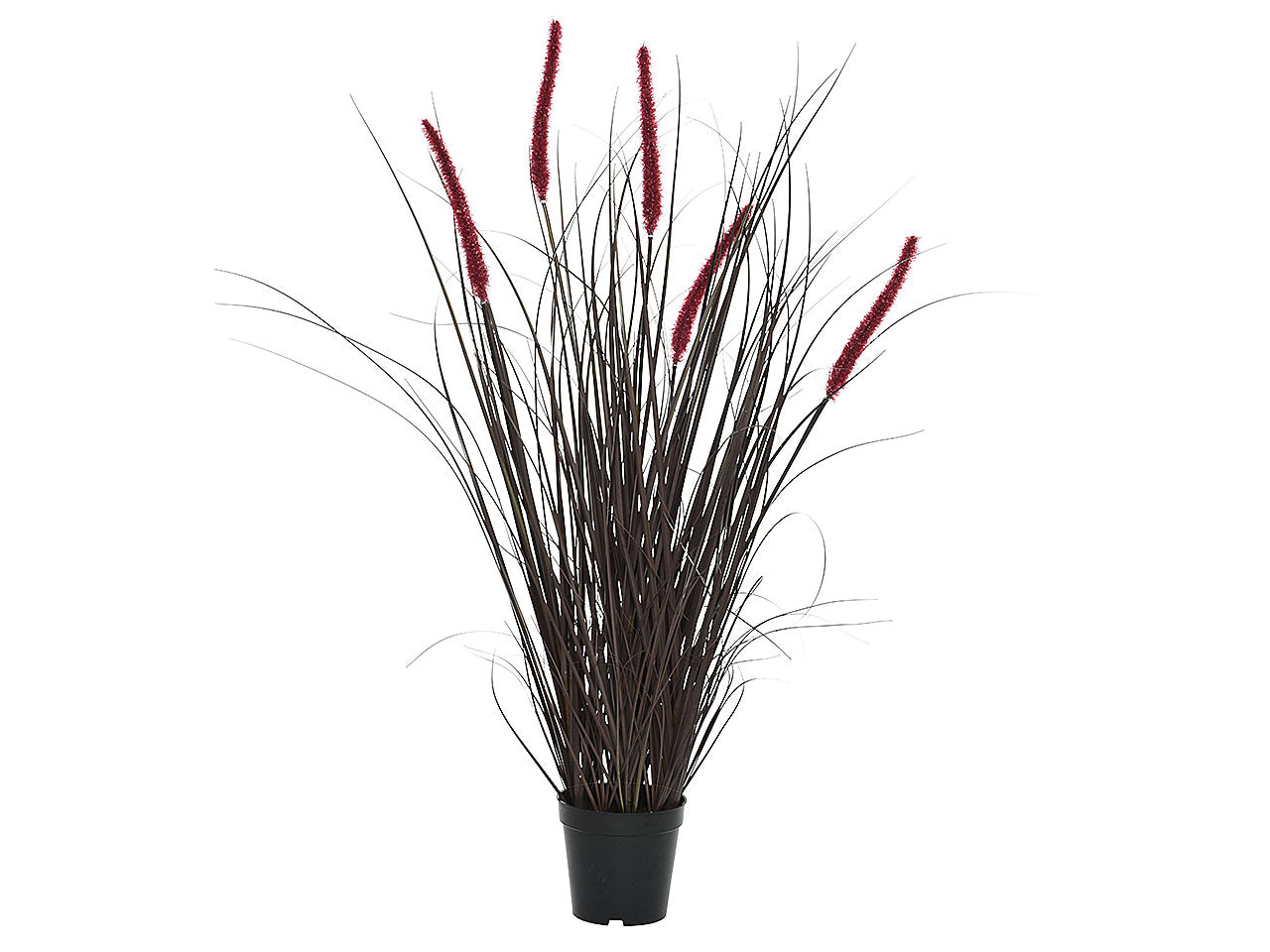 Pianta h.90cm burgundy 804034