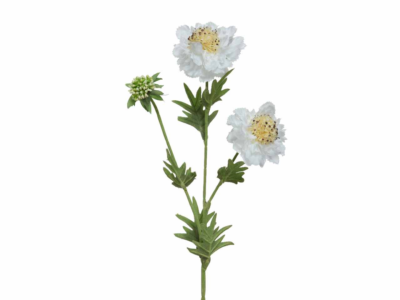 Fiore scabiosa h.72cm bianco 804067