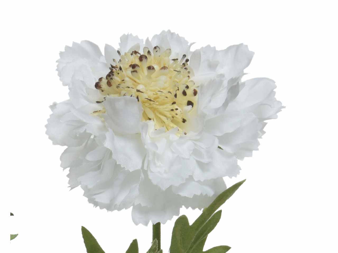 Fiore scabiosa h.72cm bianco 804067
