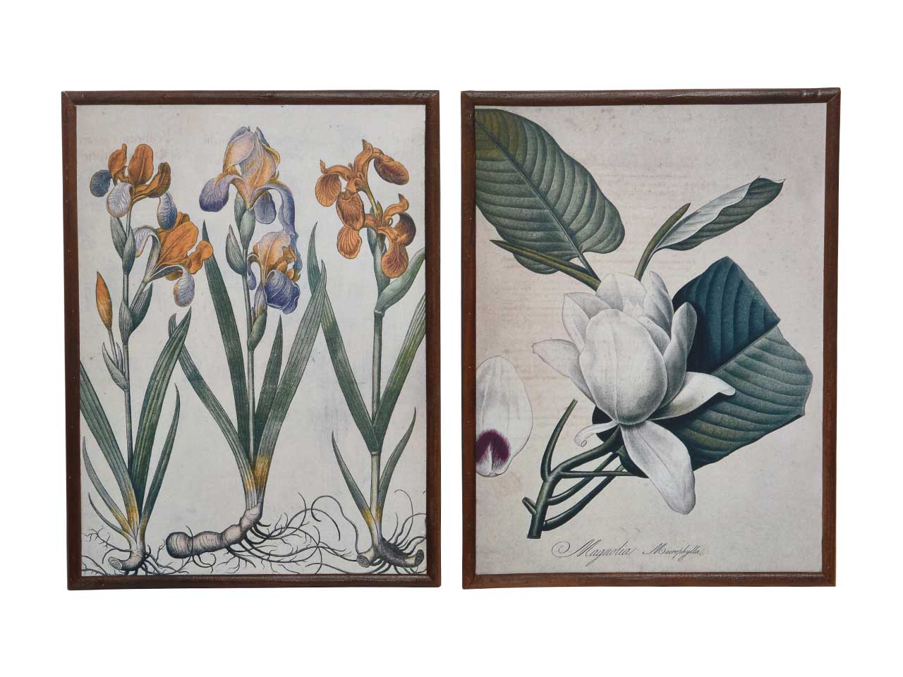 Quadro fiori 30xh40cm 879866