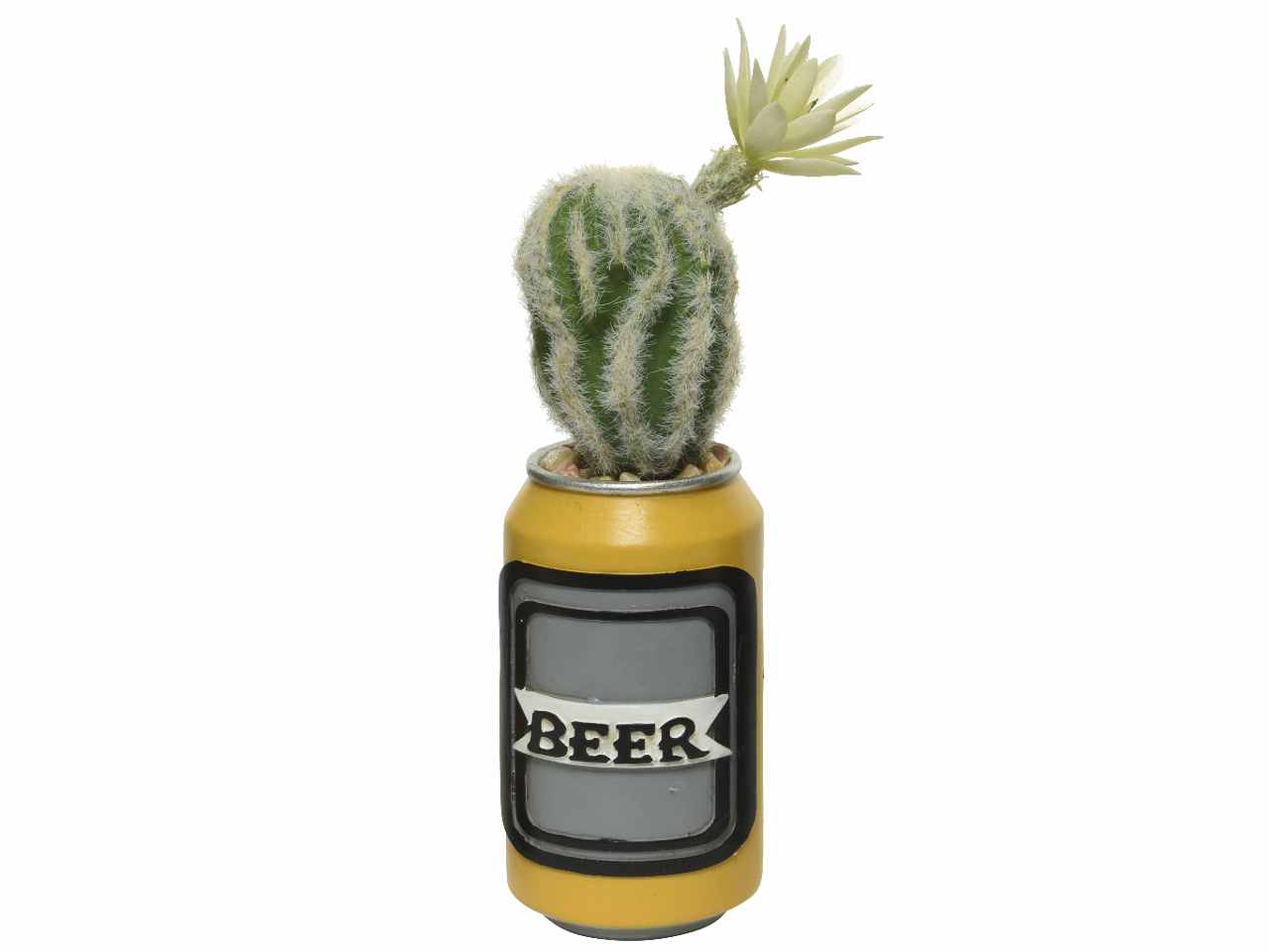 Pianta grassa in vaso di plastica a forma di lattina di birra, 4 diversi assortimenti . d.6.5xh.25cm