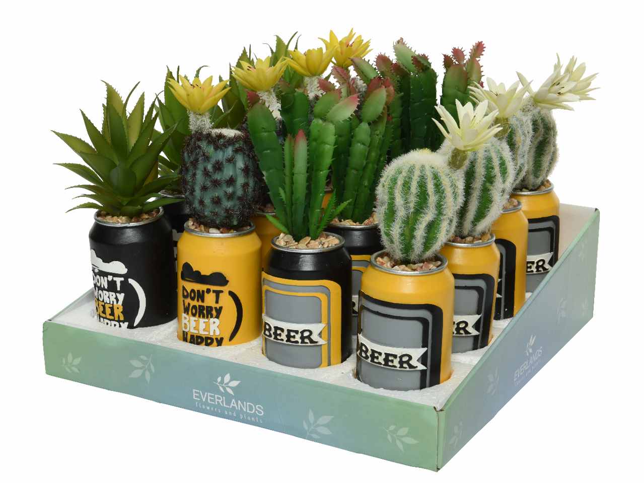 Pianta grassa in vaso di plastica a forma di lattina di birra, 4 diversi assortimenti . d.6.5xh.25cm