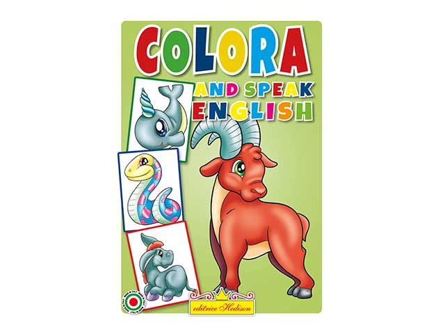 Libro didattico speak english