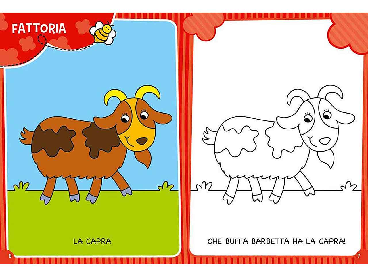 Libro maximulticolor