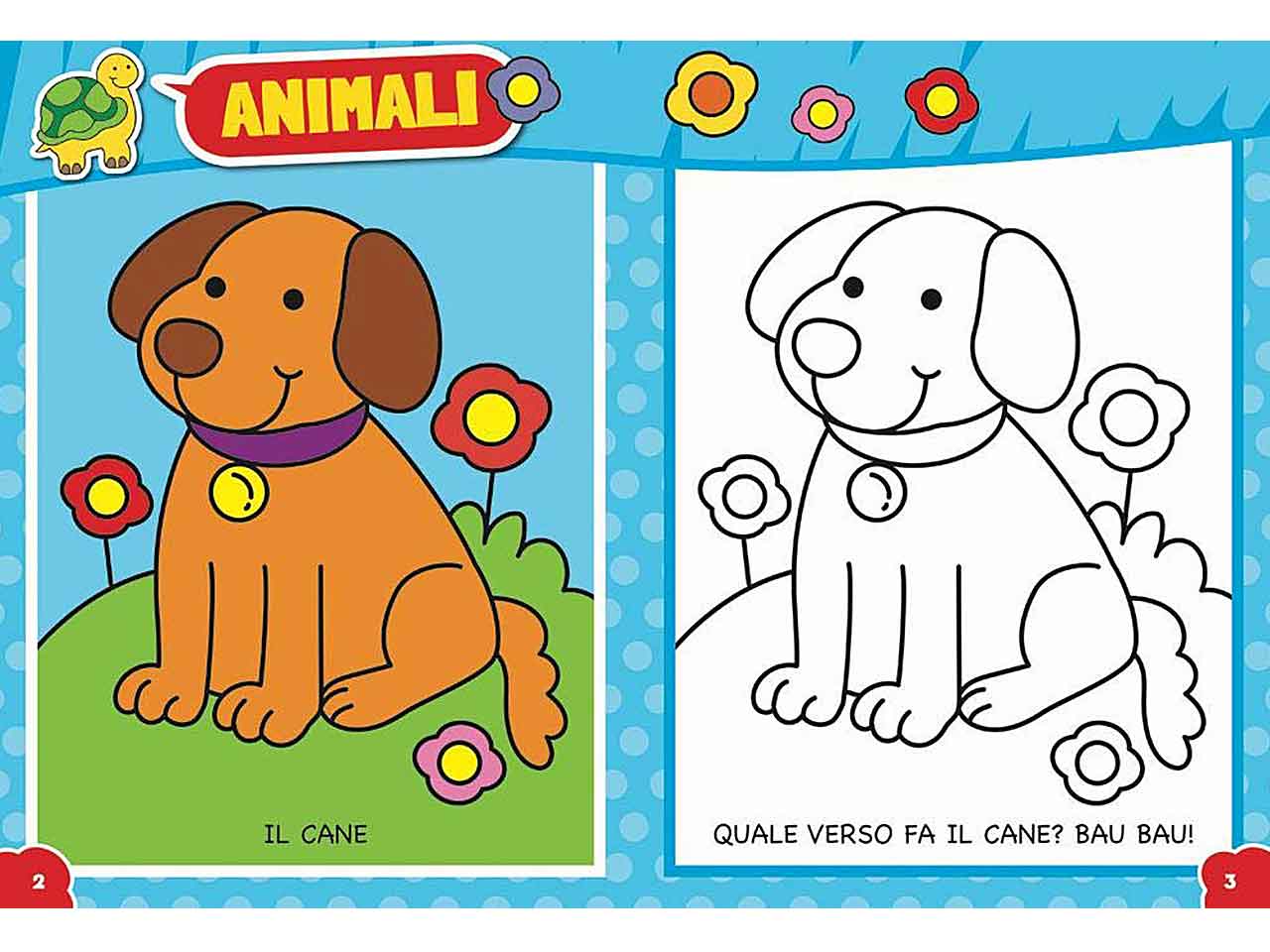 Libro tuttocolor