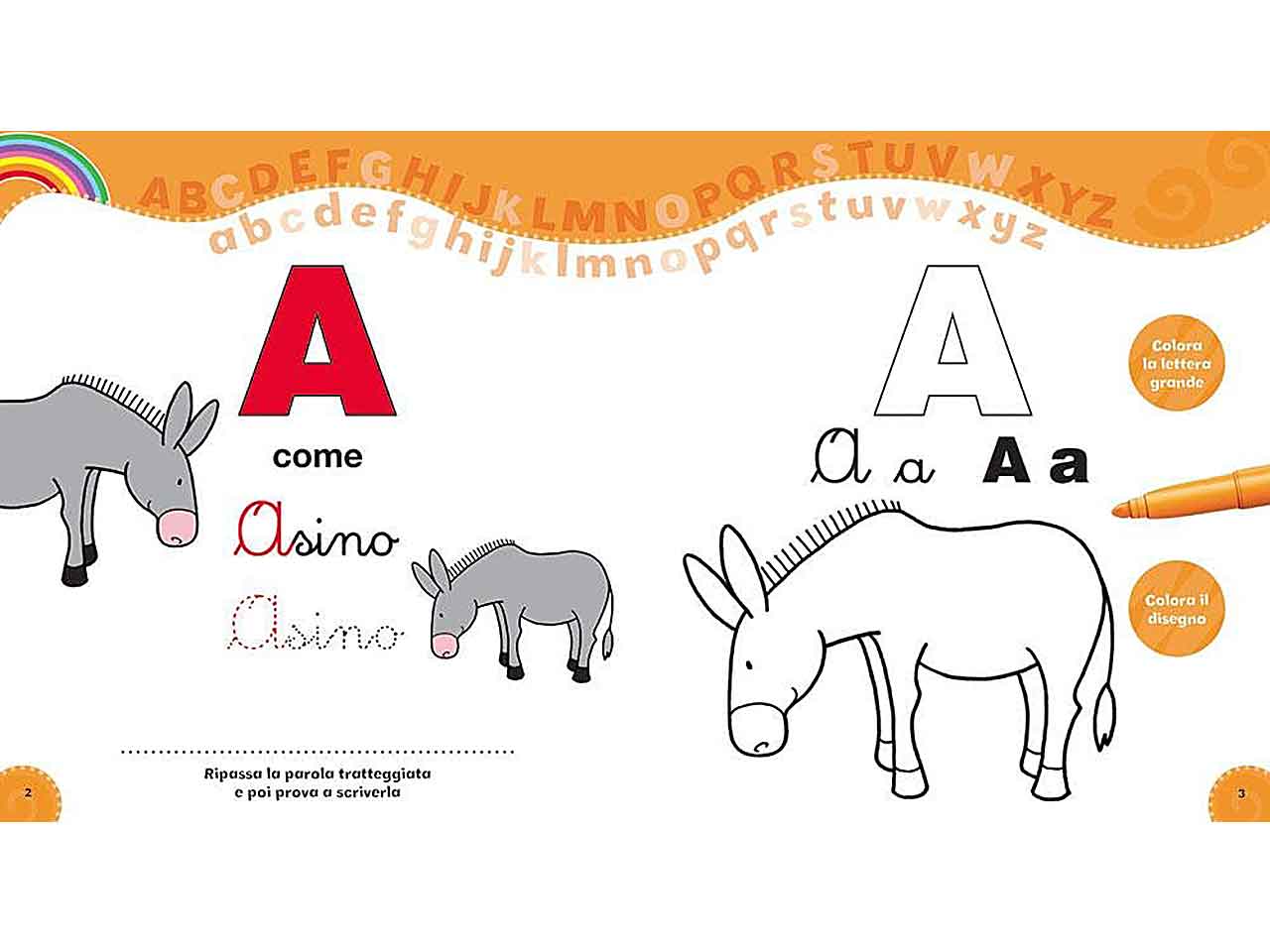 Libro alfabetiere degli animali