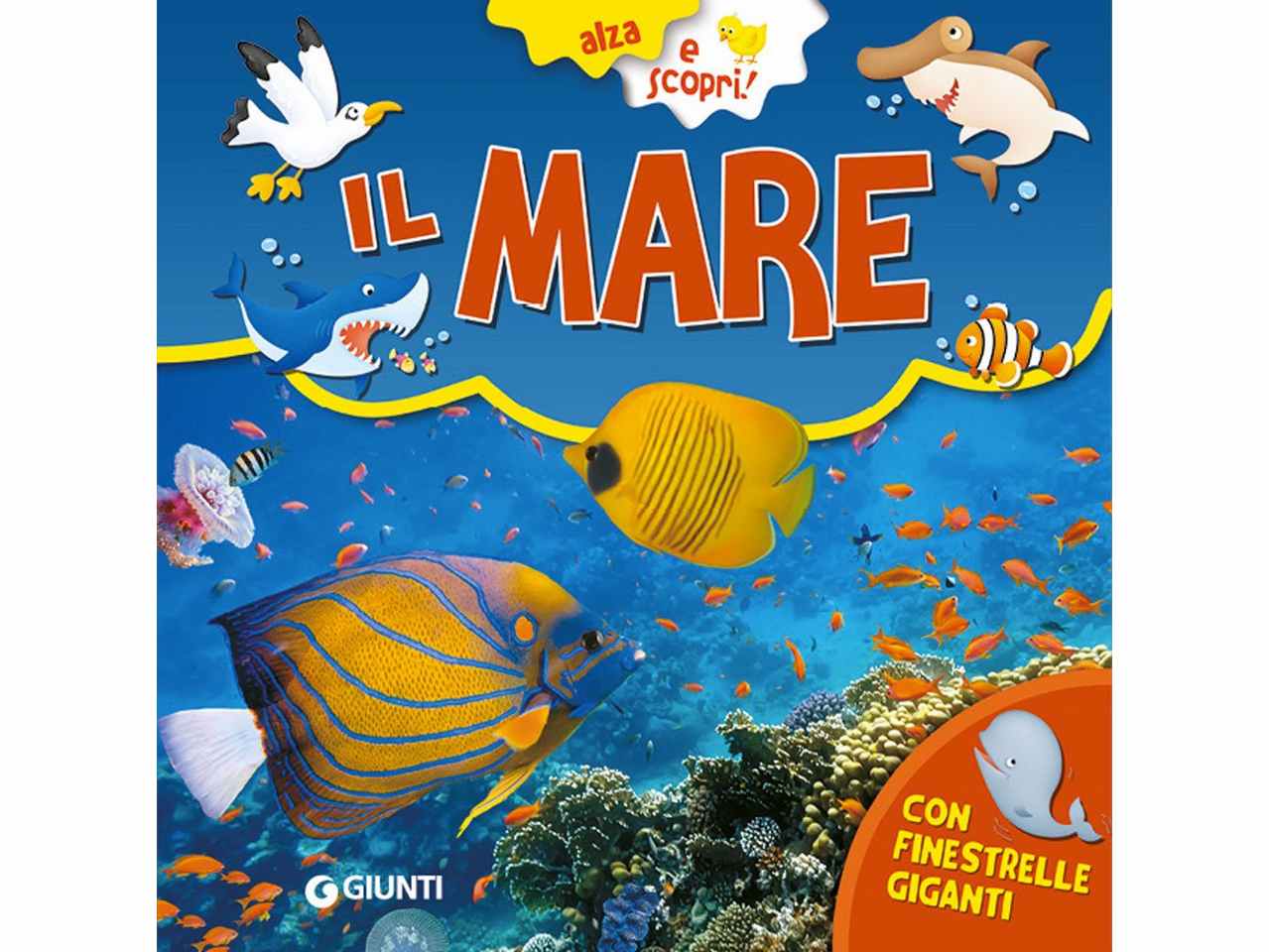 libro mare