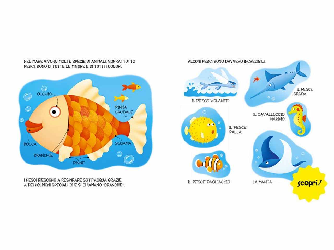 libro mare