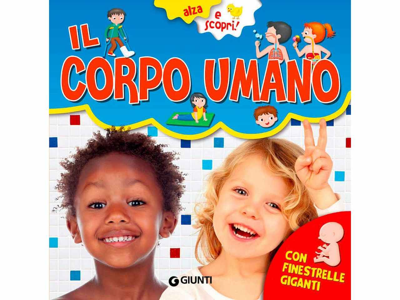 libro corpo umano
